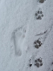 Footprints