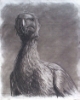 Dodo